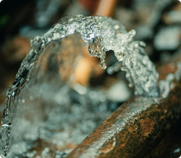 Burst Pipes